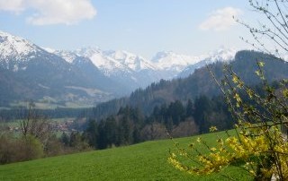 herrlicher Panoramablick in die Allg�uer Berge.